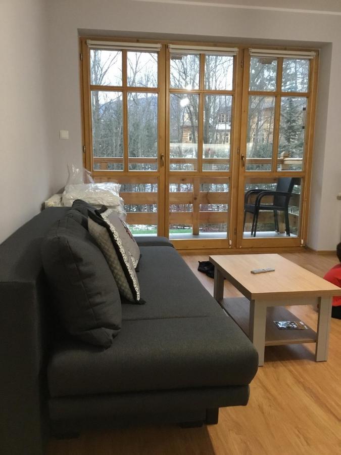 Apartament Aleksander Zakopane Zewnętrze zdjęcie